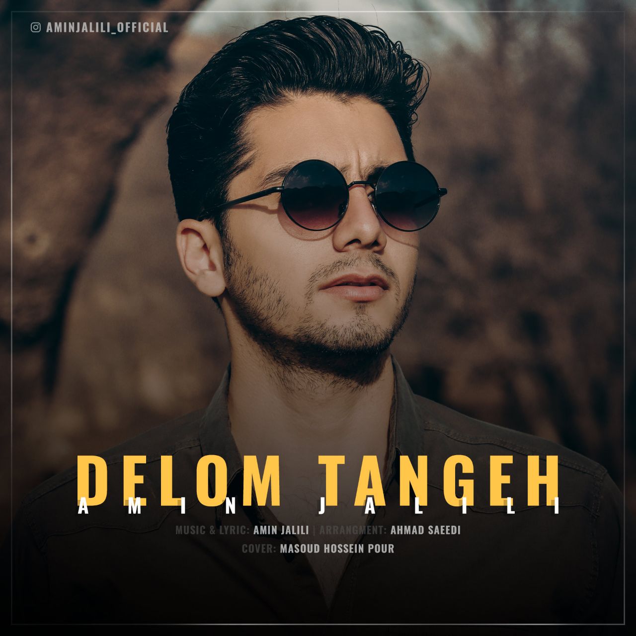 امین جلیلی دلم تنگه